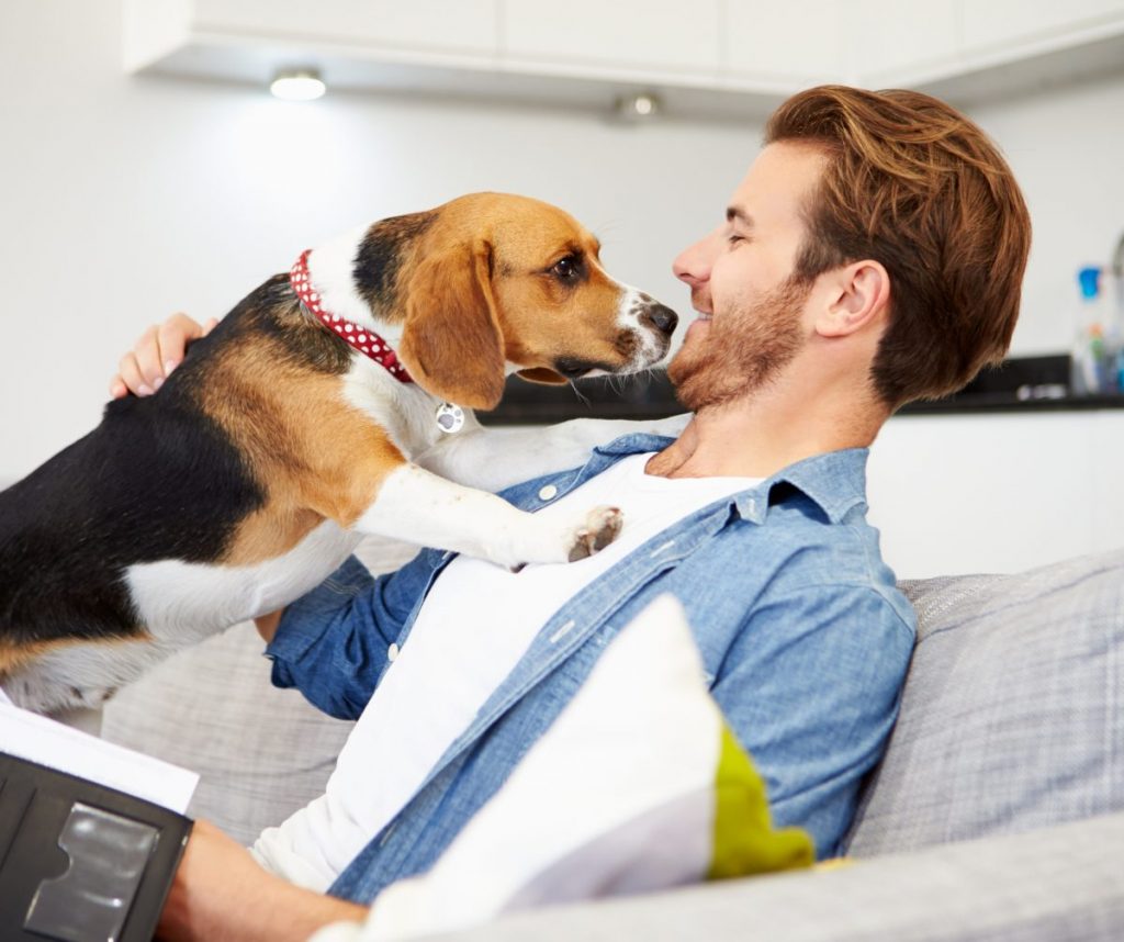 Descubre Cómo Dar el Salto de Empleado a Emprendedor con El Perro Feliz